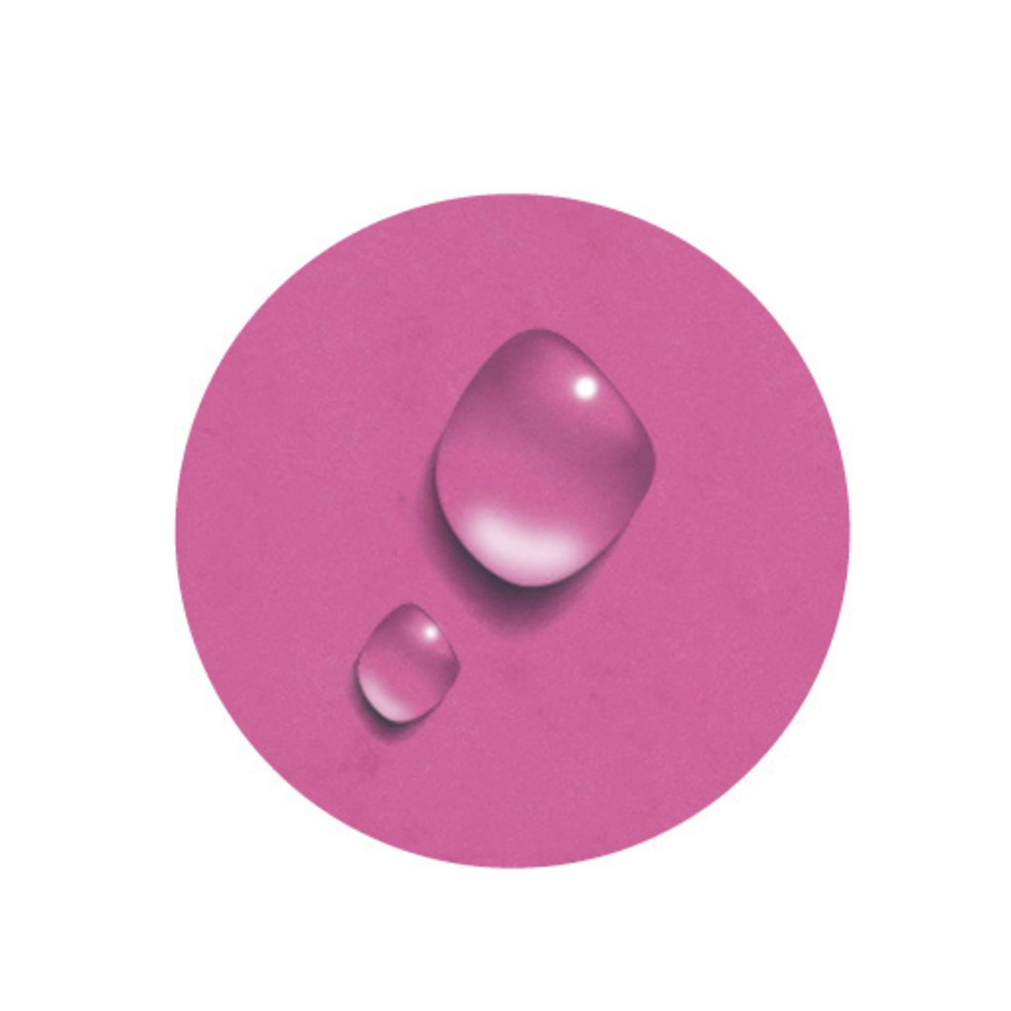 Exacompta 6x Ordnungsmappe Harmonika dehnbar Karton 12 Fächer Rosa 53928E