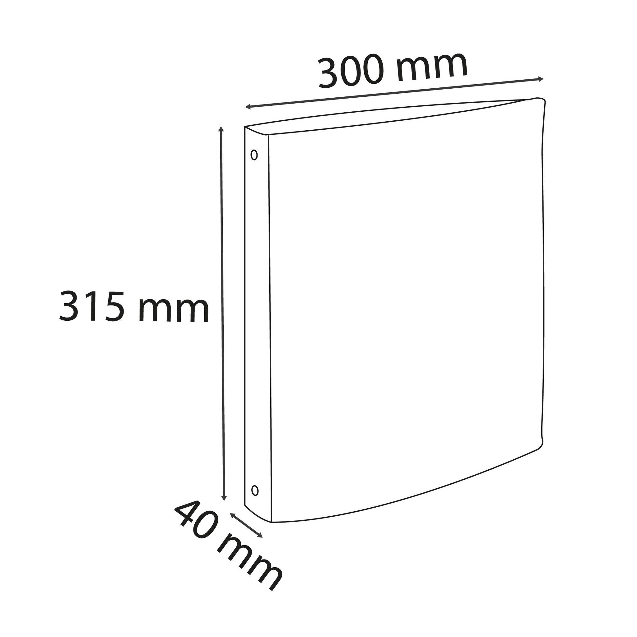 Exacompta 10x Ringbuch A4, 4 Ringe in D-Form 25mm, Aquarel - Malve - 51565E