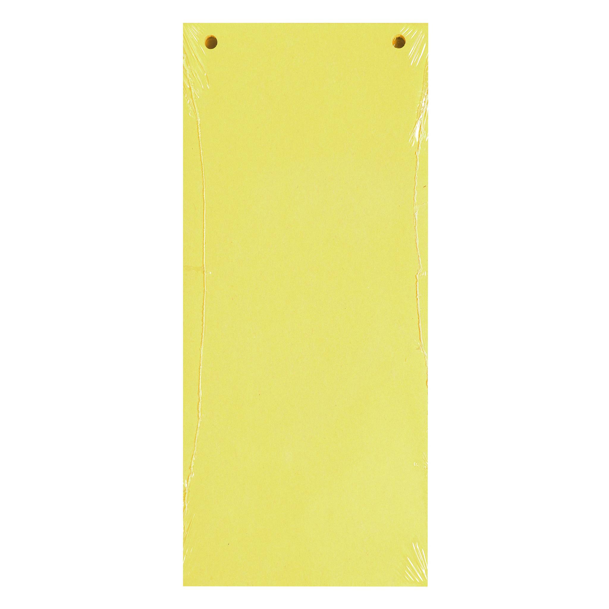 Exacompta 12x 100 Trennstreifen 2-fach gelocht RC Kart 105x240mm Gelb 13425B