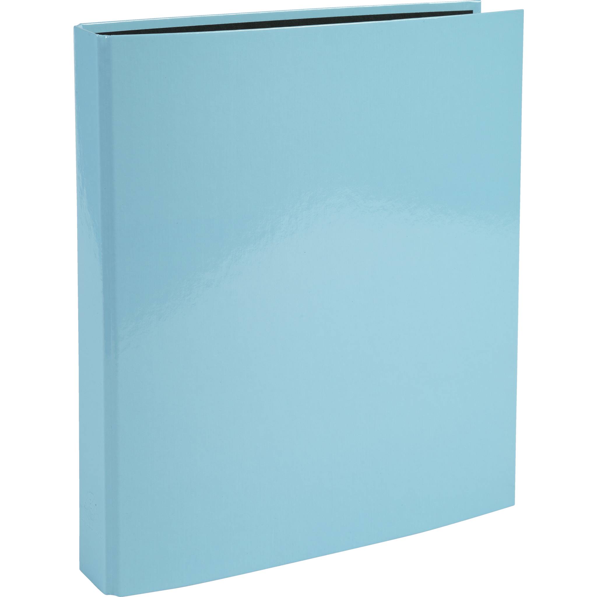 Exacompta 10x Ringbuch A4, 4 Ringe in D-Form 25mm, Aquarel, Pastellblau, 51572E