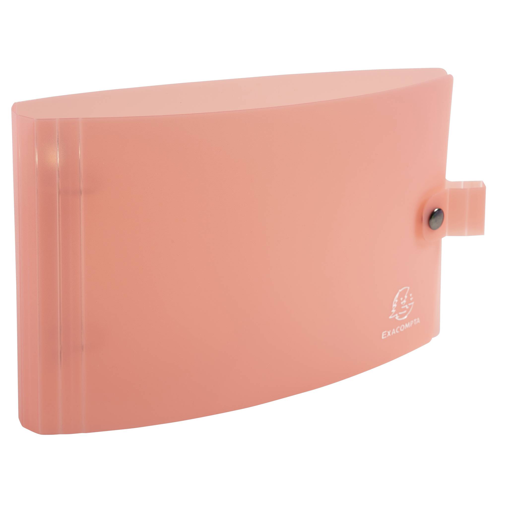 Exacompta 10x Ringbuch PP 2Ring für Karteikarten A5 125x200mm sortiert 52170E