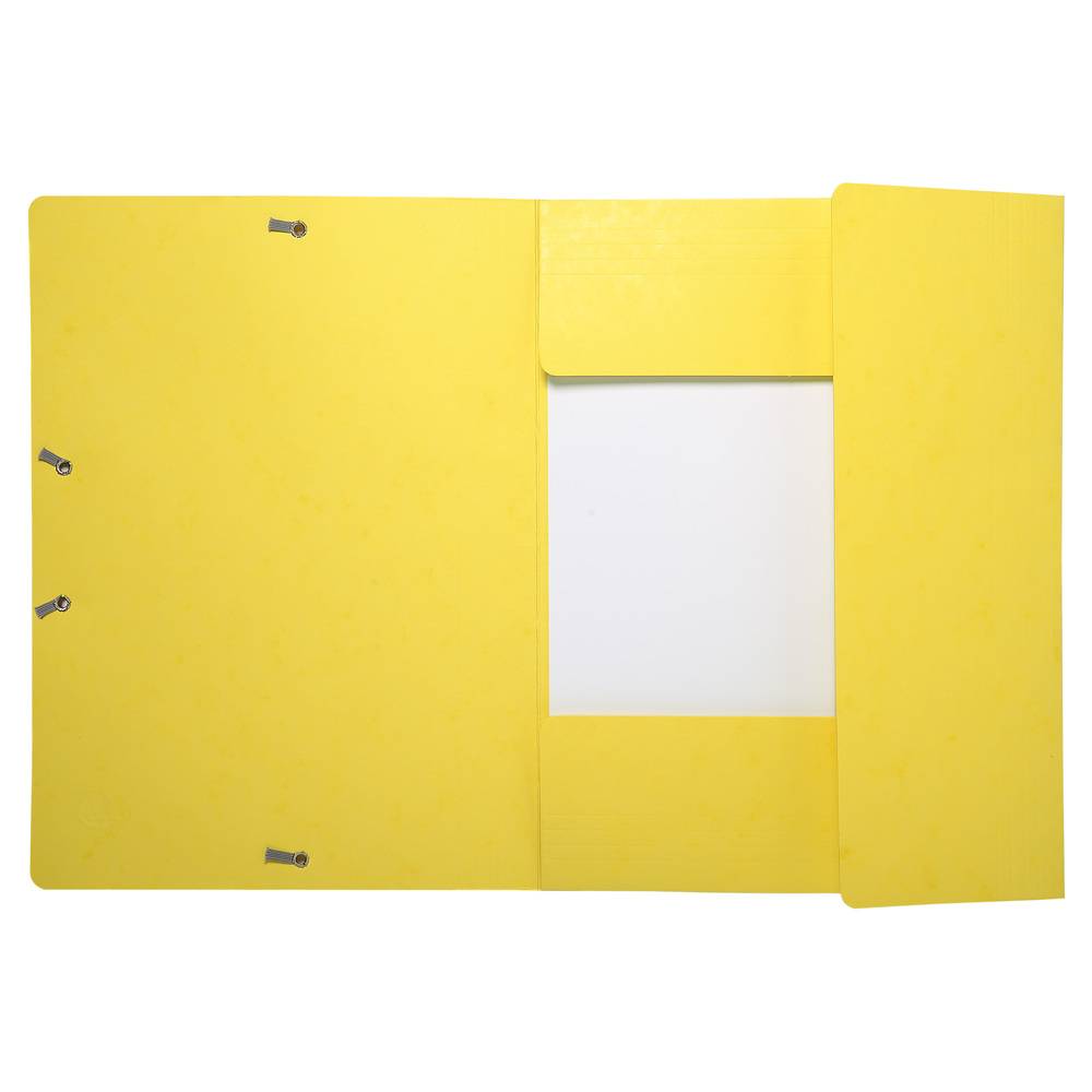 Exacompta 50x Sammelmappe +Gummizug 3 Klappen Karton A4 MAXI sortiert 17100H