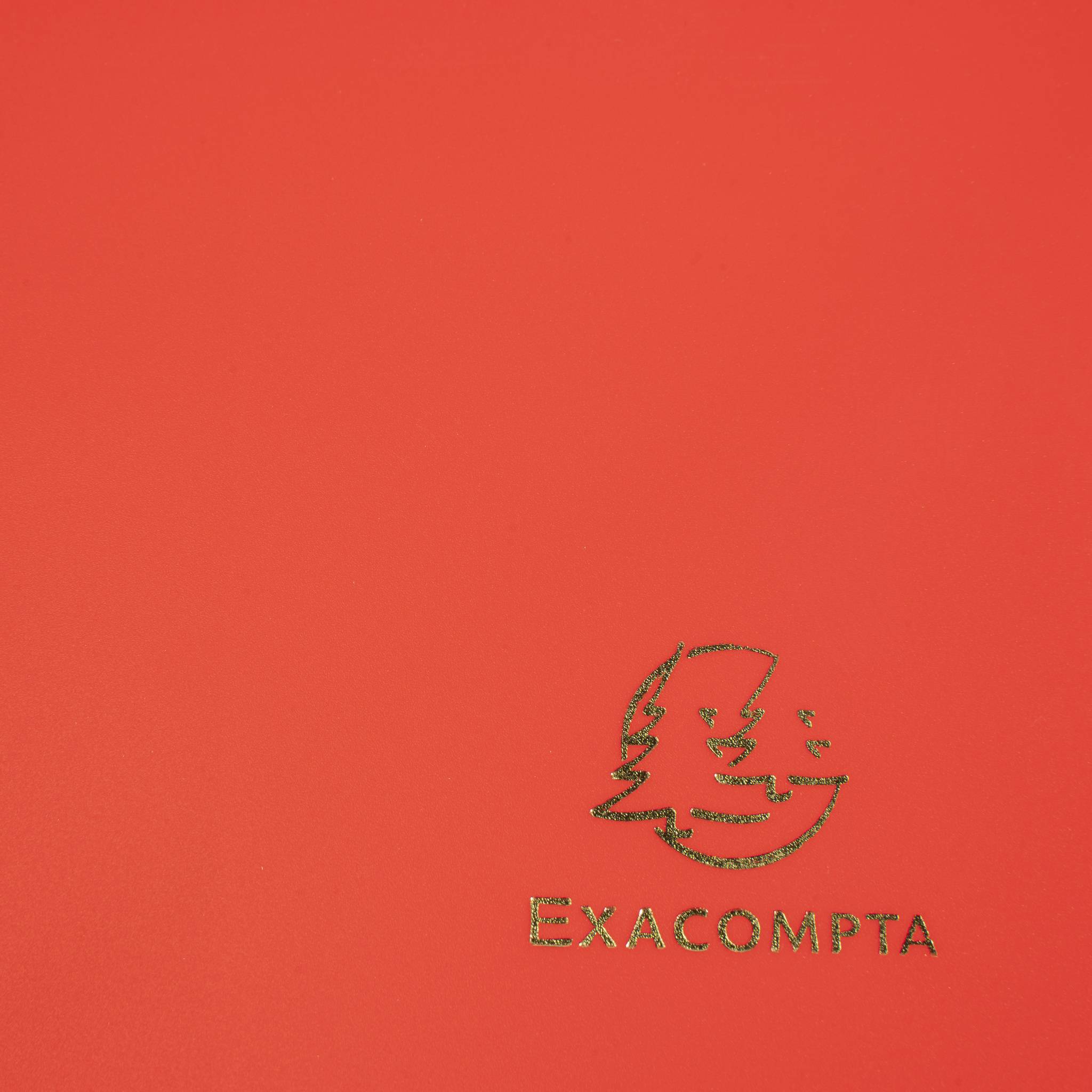 Exacompta 30x Sammelmappe +Gummizug 3 Klappen PP 400µ Eco A4 Rot 55905E