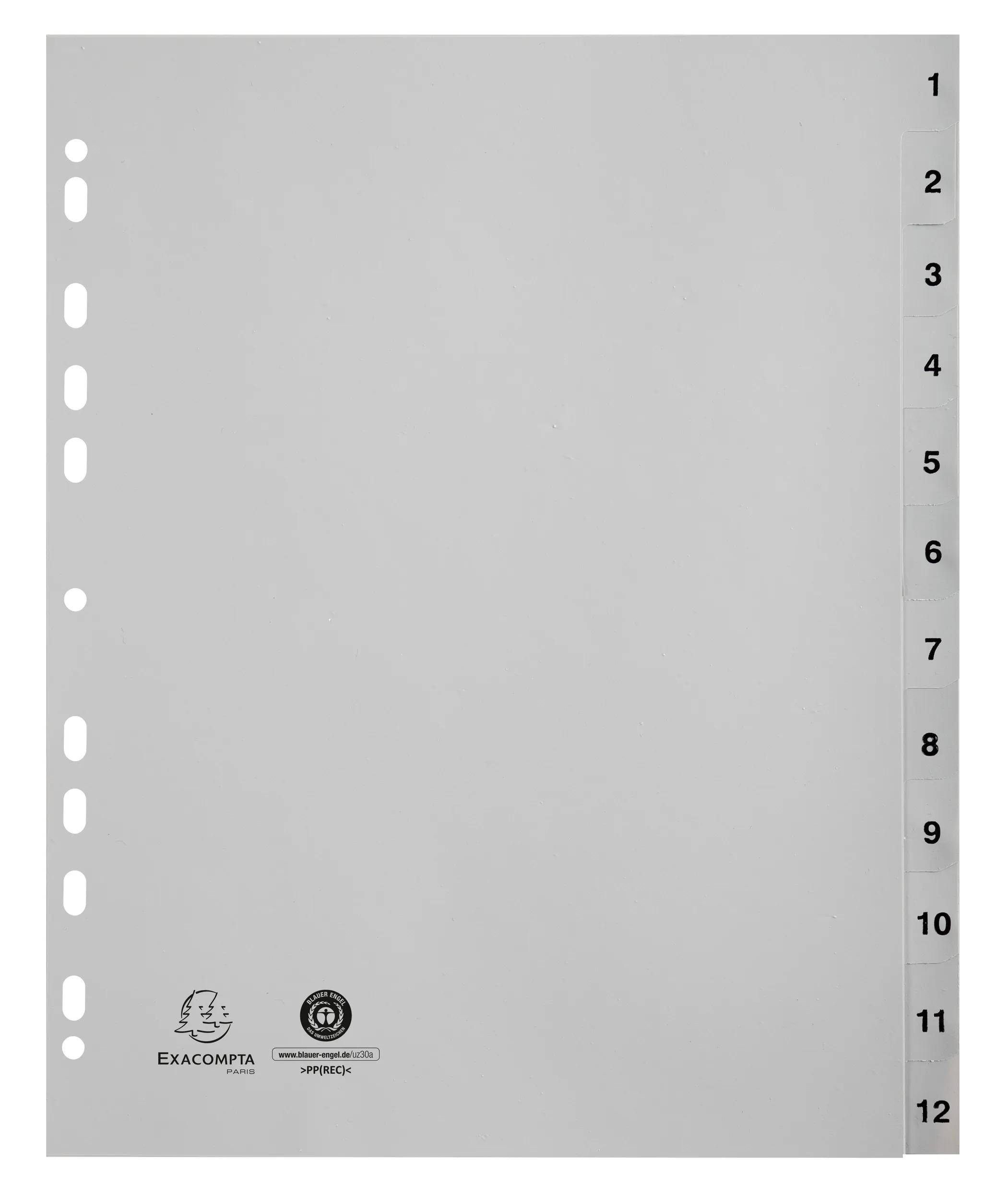 Exacompta 10x Register A4 grauem RC-PP 120µ Taben 1-12 12 Positionen Grau 2912E