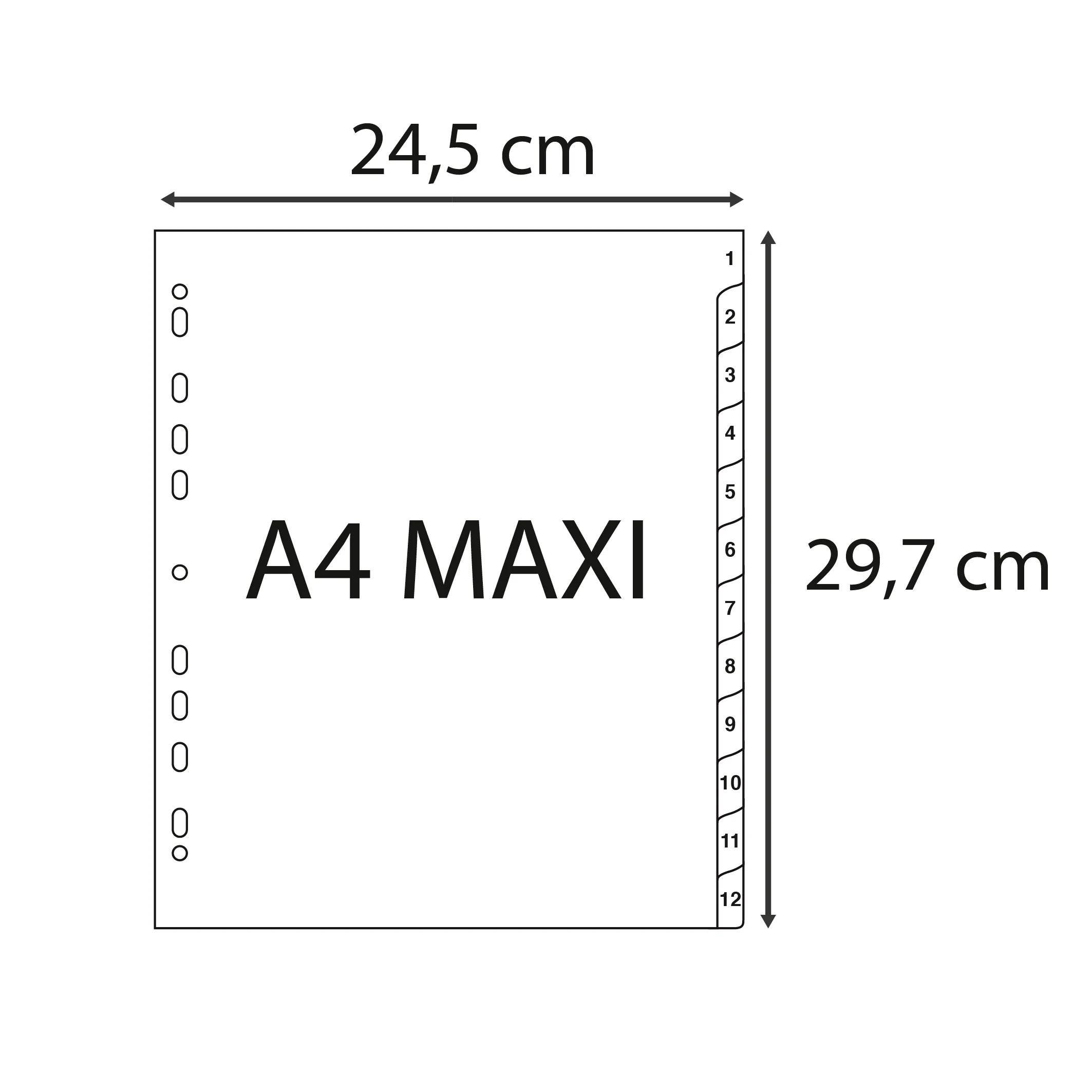 Exacompta 10x Register A4 grauem RC-PP 120µ Taben 1-12 12 Positionen Grau 2912E