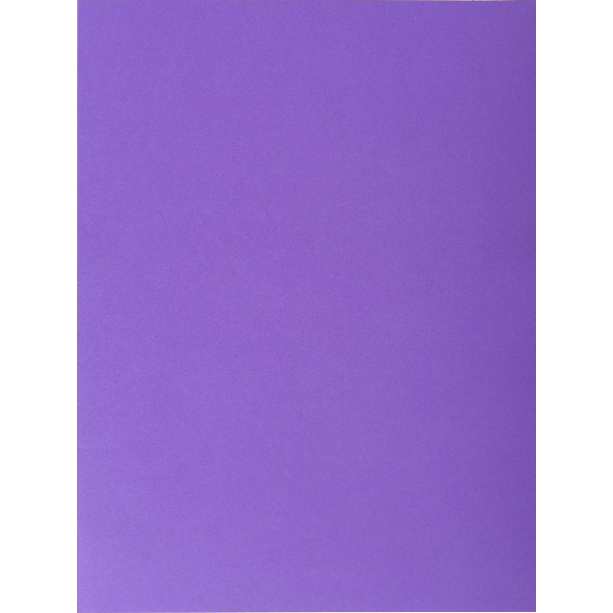 Exacompta 10x Pack 25 Aktenmappe, 2 Innenfächer, A4 oder A3, Lila, 415007E