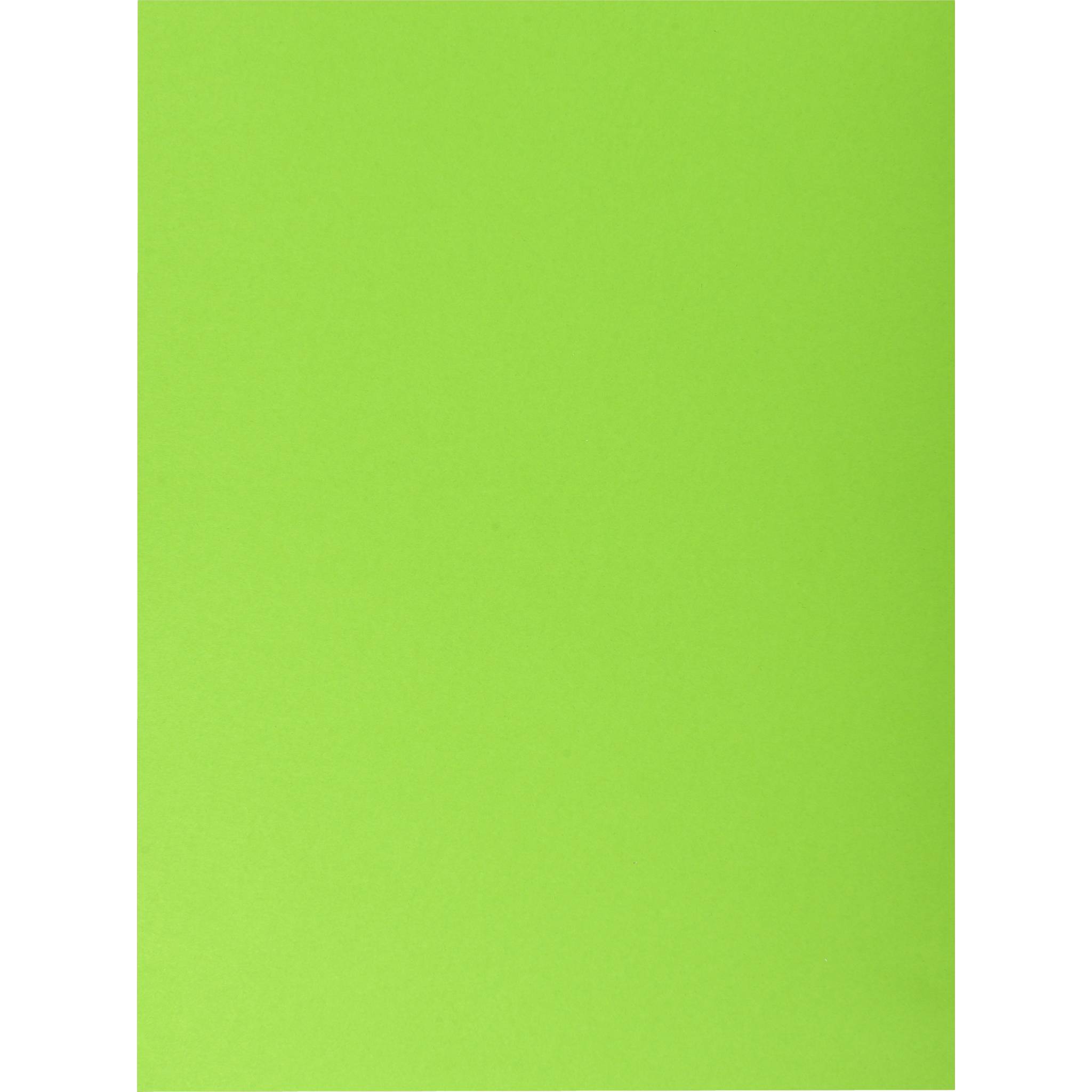 Exacompta 10x Pack 25 Aktenmappe, 2 Innenfächer, A4 oder A3, Grün, 415003E