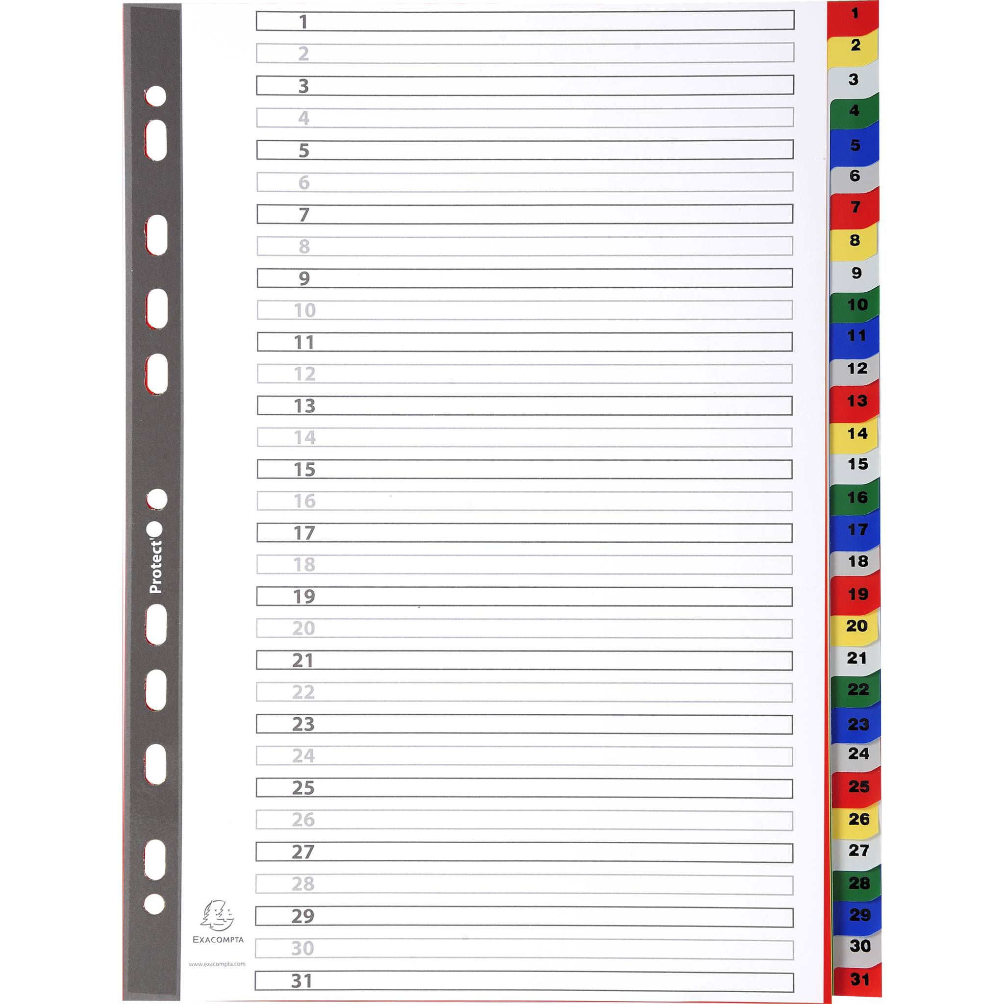 Exacompta 20x Register für Ordner Ringbücher PP 31 Positionen Taben 1-31 A4 93E