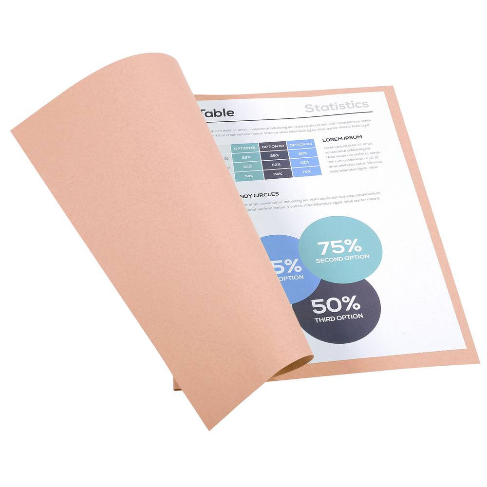 Exacompta 5x Pack 100 Aktendeckeln Recycling 220g A4 - Rosa - 410003E
