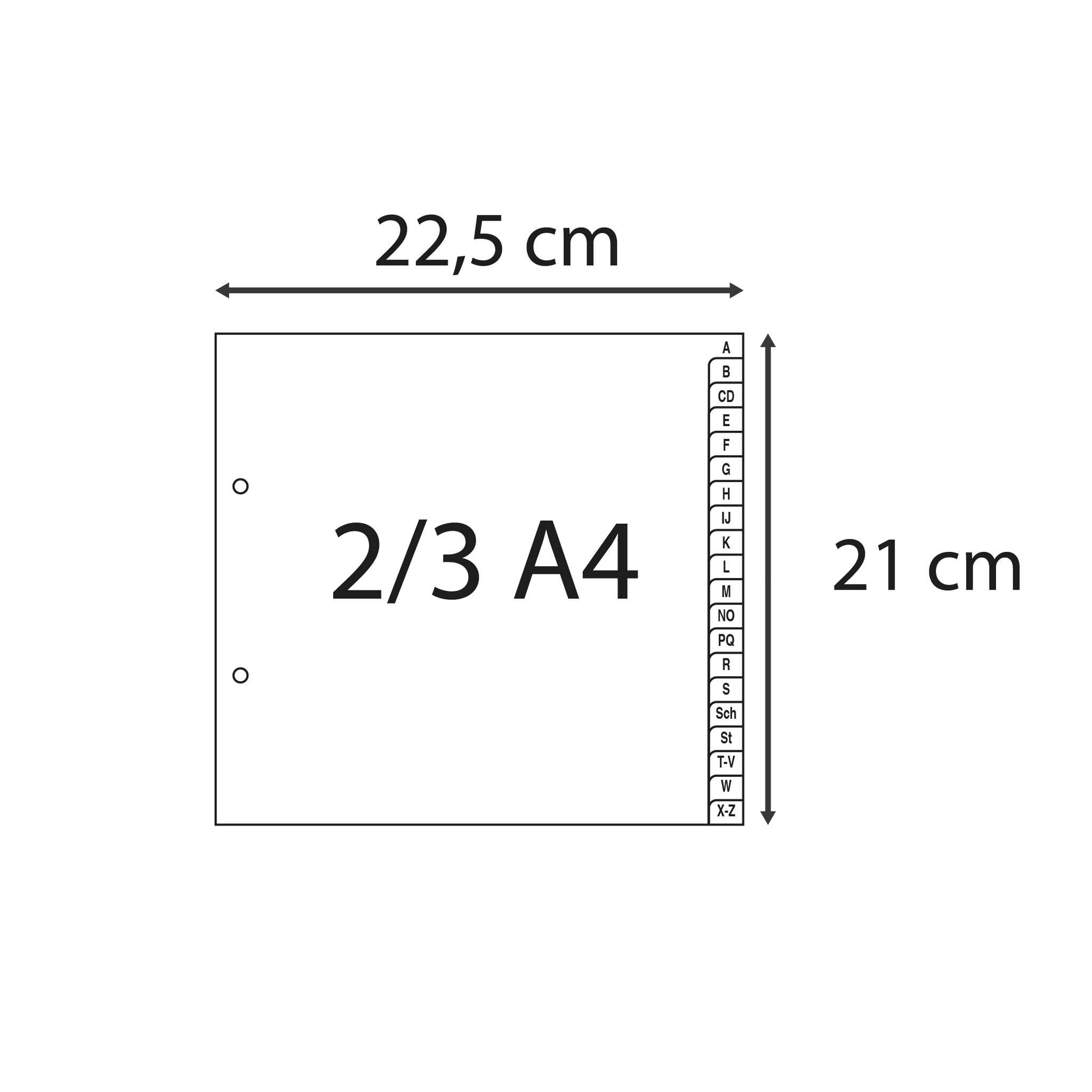 Exacompta 25x Register 2/3 RC-PP grau 120µ A-Z (inkl. Sch St) 20 Pos Grau 1723B
