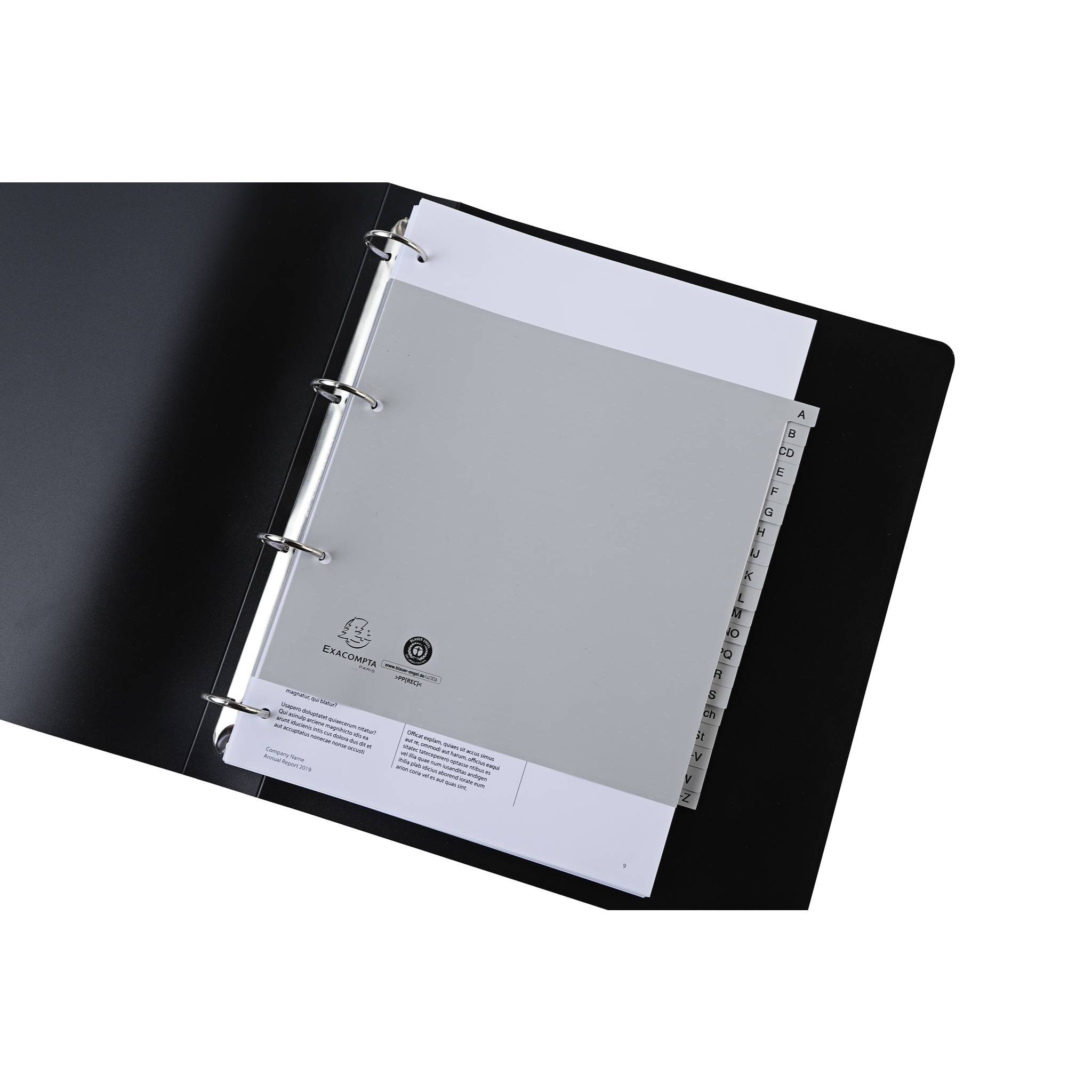 Exacompta 25x Register 2/3 RC-PP grau 120µ A-Z (inkl. Sch St) 20 Pos Grau 1723B