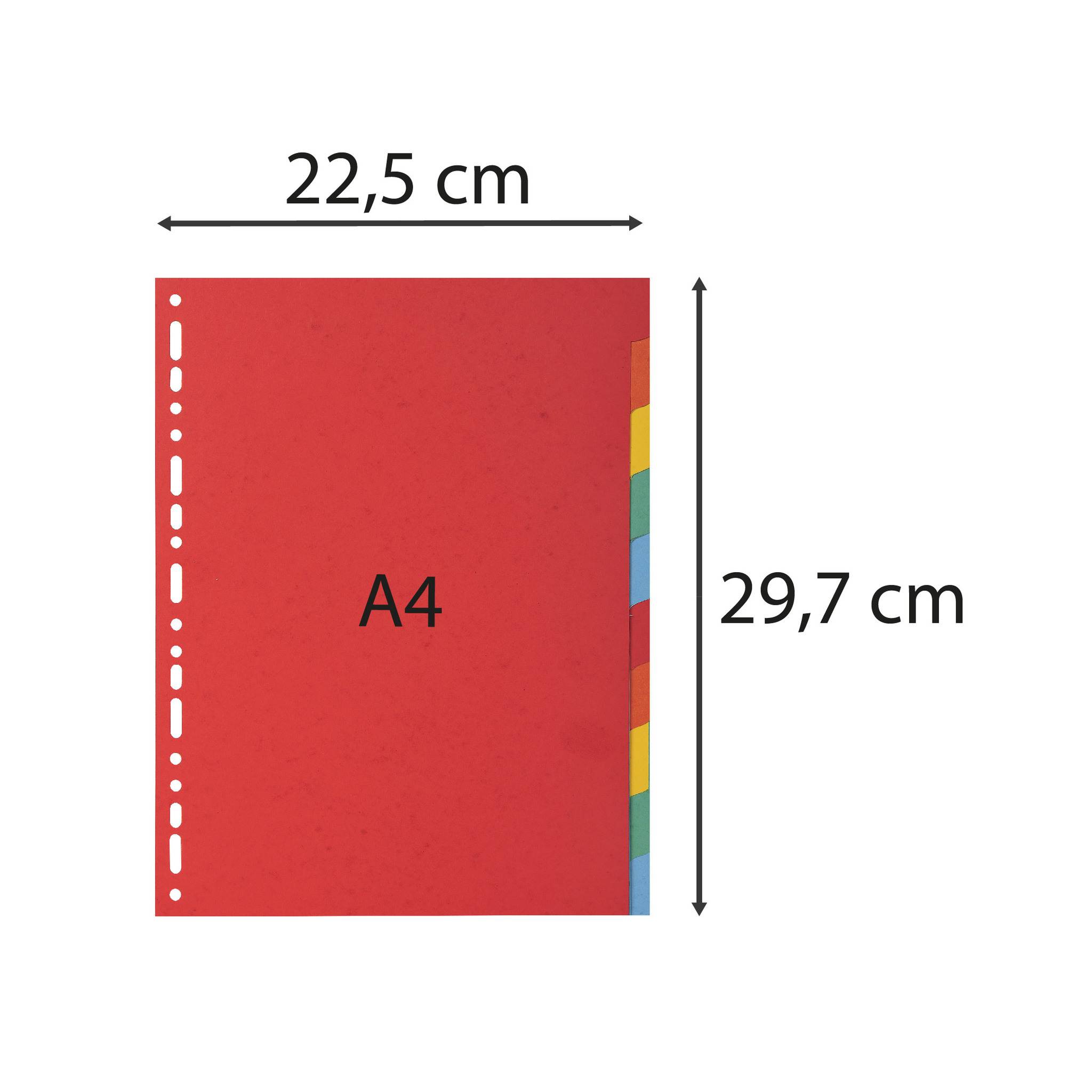 Exacompta 25x Register aus RC Kart.220g, 10 Taben, für Format DIN A6 - 2010E