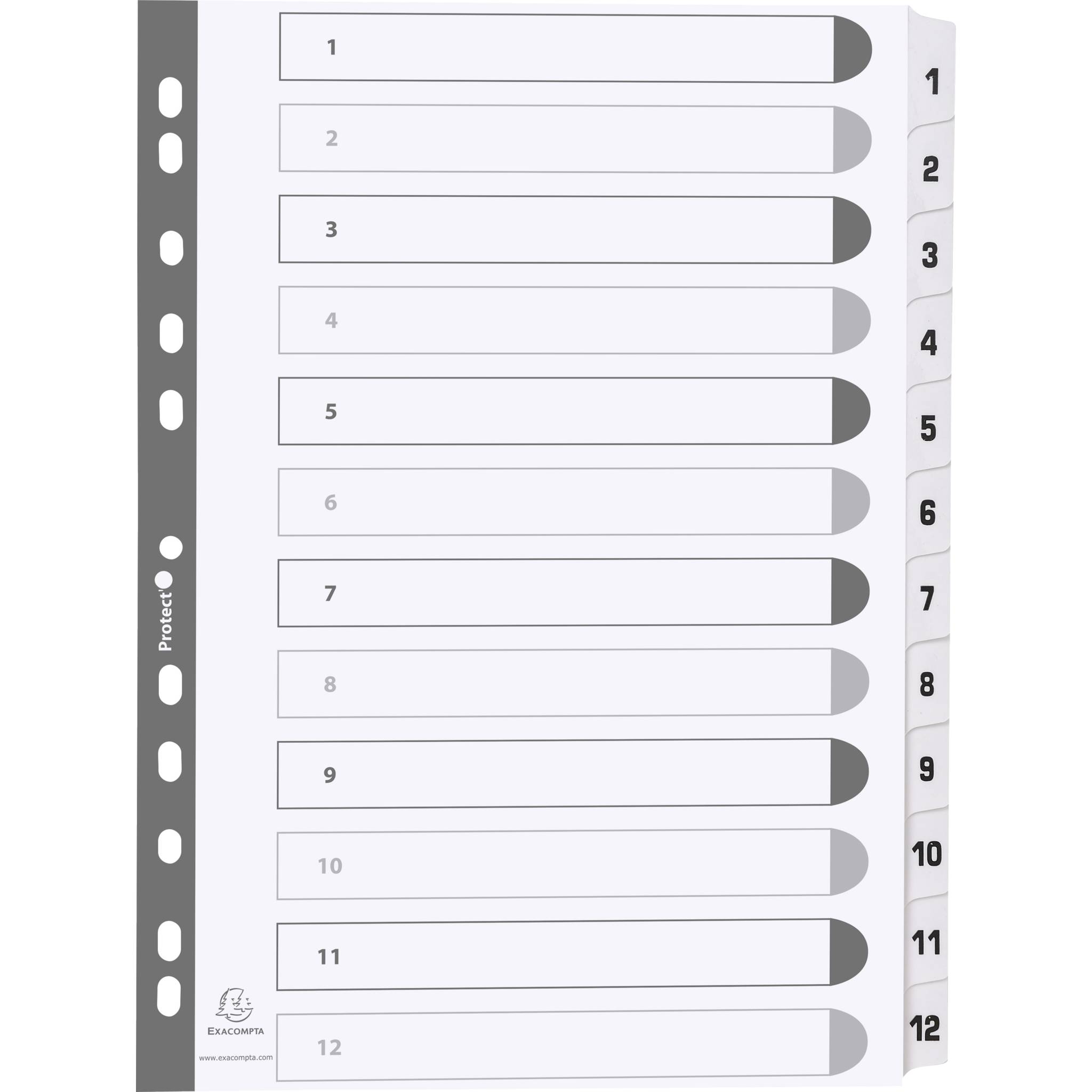 Exacompta 25x Register 12 Taben von 1 bis 12 A4 Weiß MWD1-12Z