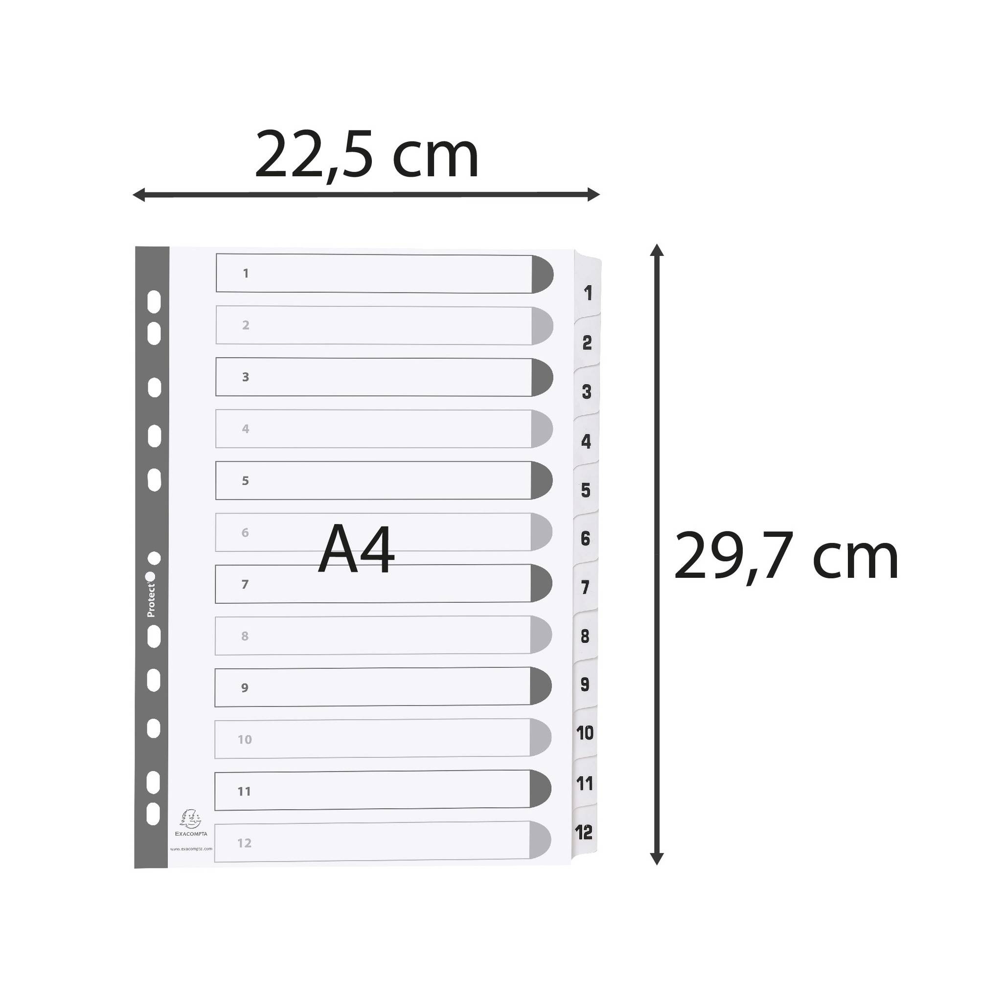 Exacompta 25x Register 12 Taben von 1 bis 12 A4 Weiß MWD1-12Z