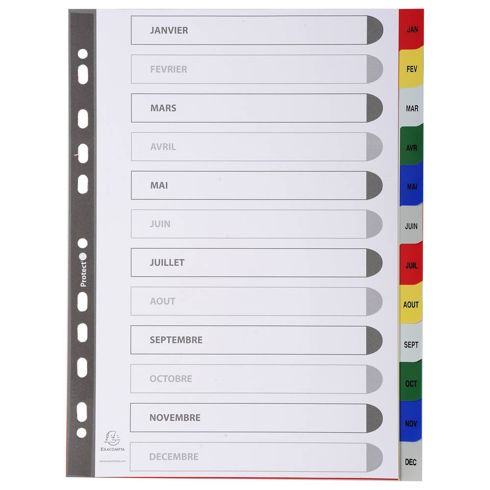 Exacompta 20x Register für Ordner Ringbücher PP 12 Pos Taben Jan.-Dez. A4 95E