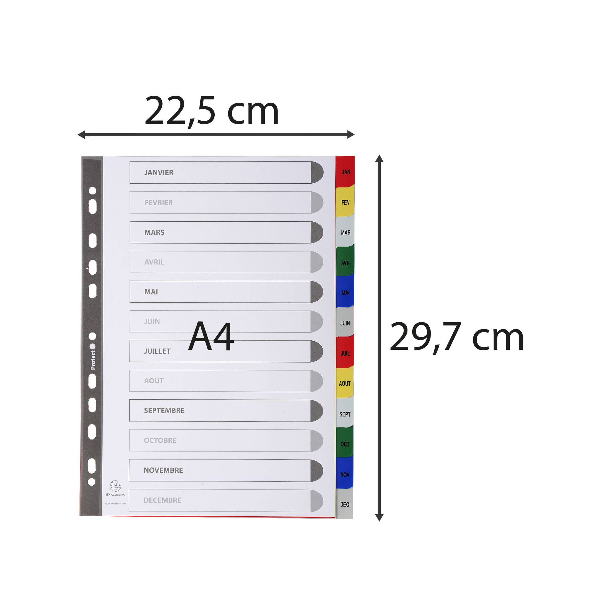 Exacompta 20x Register für Ordner Ringbücher PP 12 Pos Taben Jan.-Dez. A4 95E