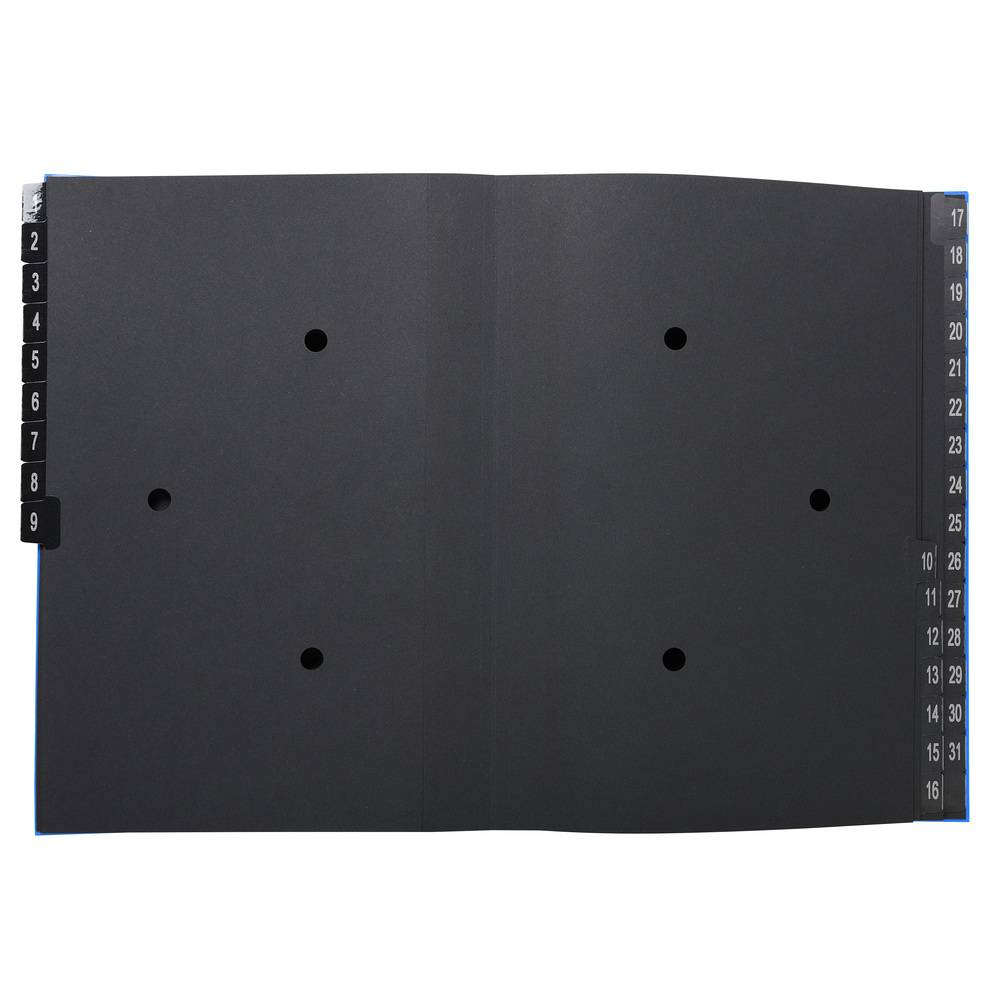 Exacompta 6x Pultordner Ordnungsmappe 32 Fächern RC-Karton 1-31 A4 Blau 57042E