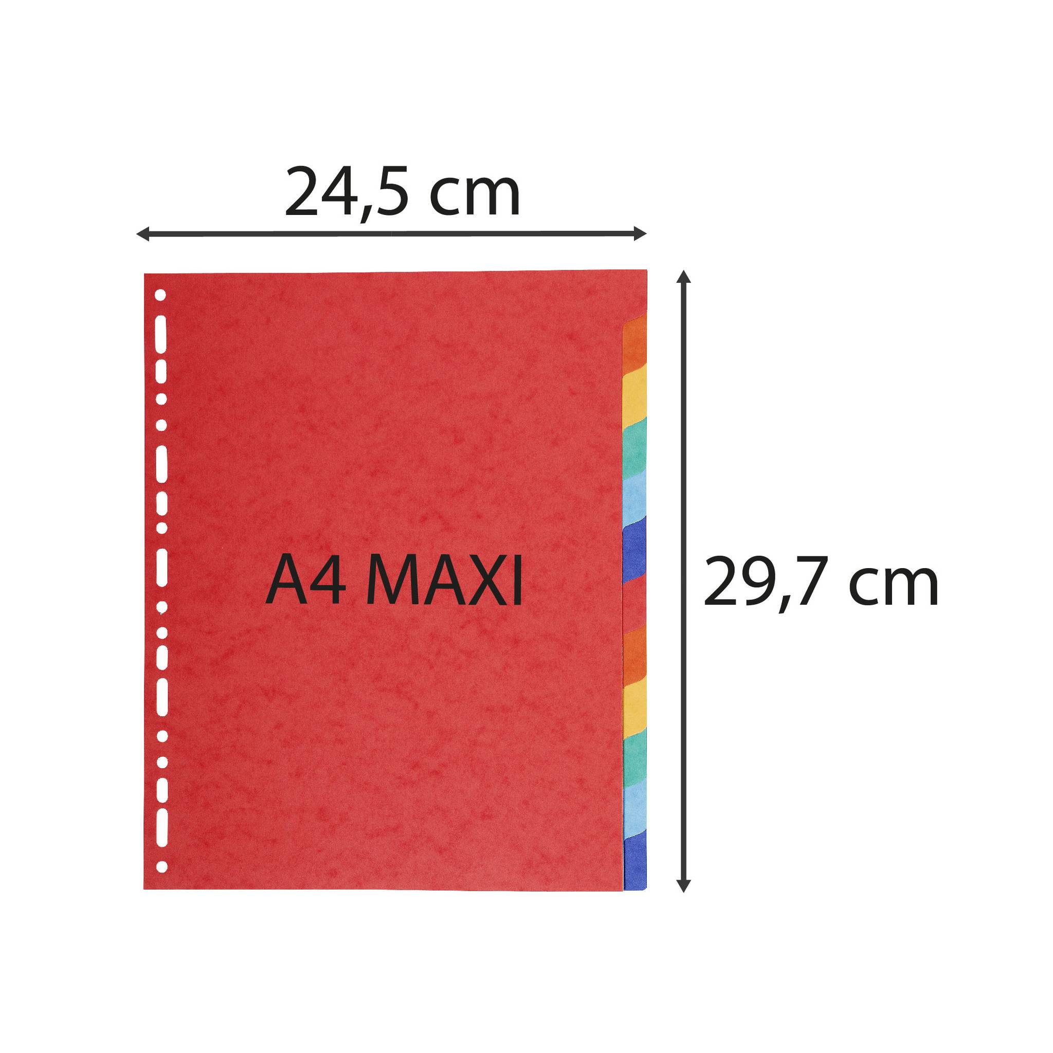Exacompta 25x Register aus RC Kart.220g, 12 Taben, für Format A4 Maxi - 2112E