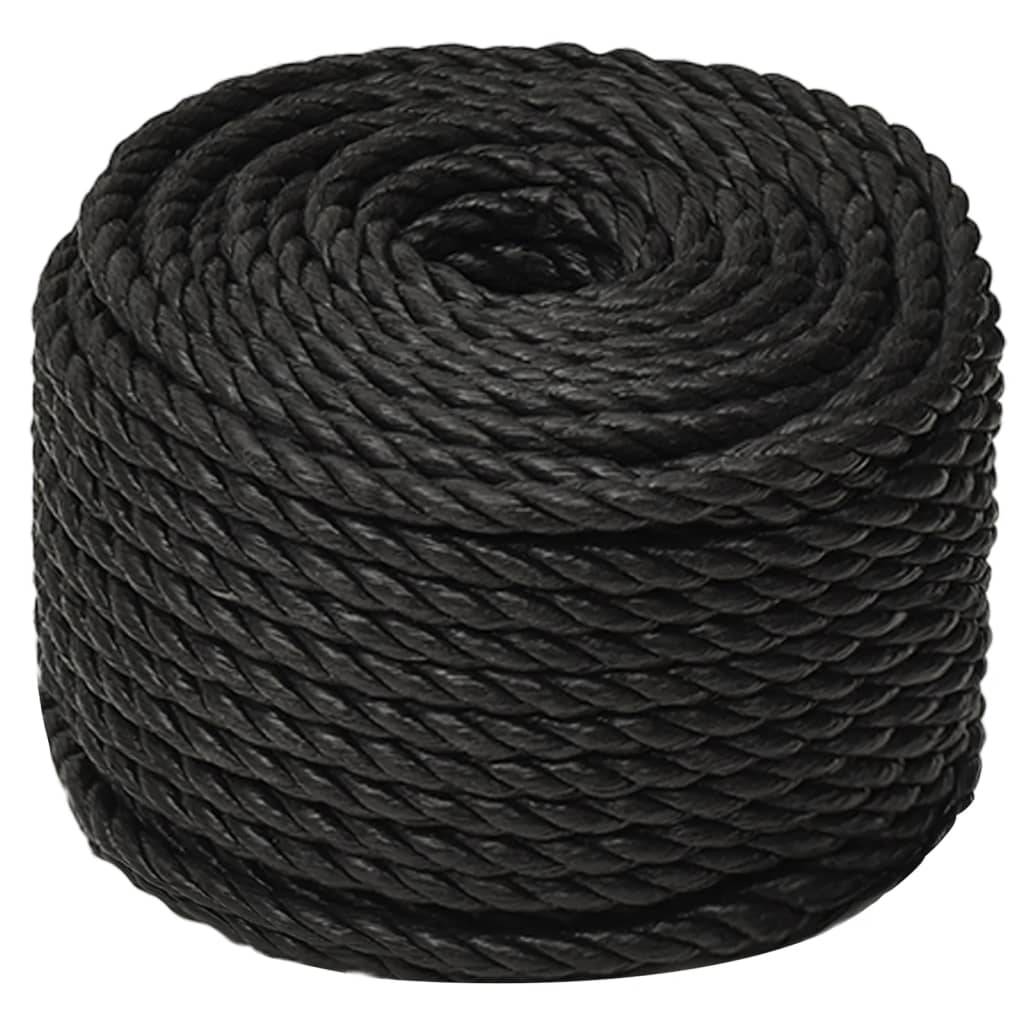 vidaXL Arbeitsseil Schwarz 10 mm 100 m Polypropylen