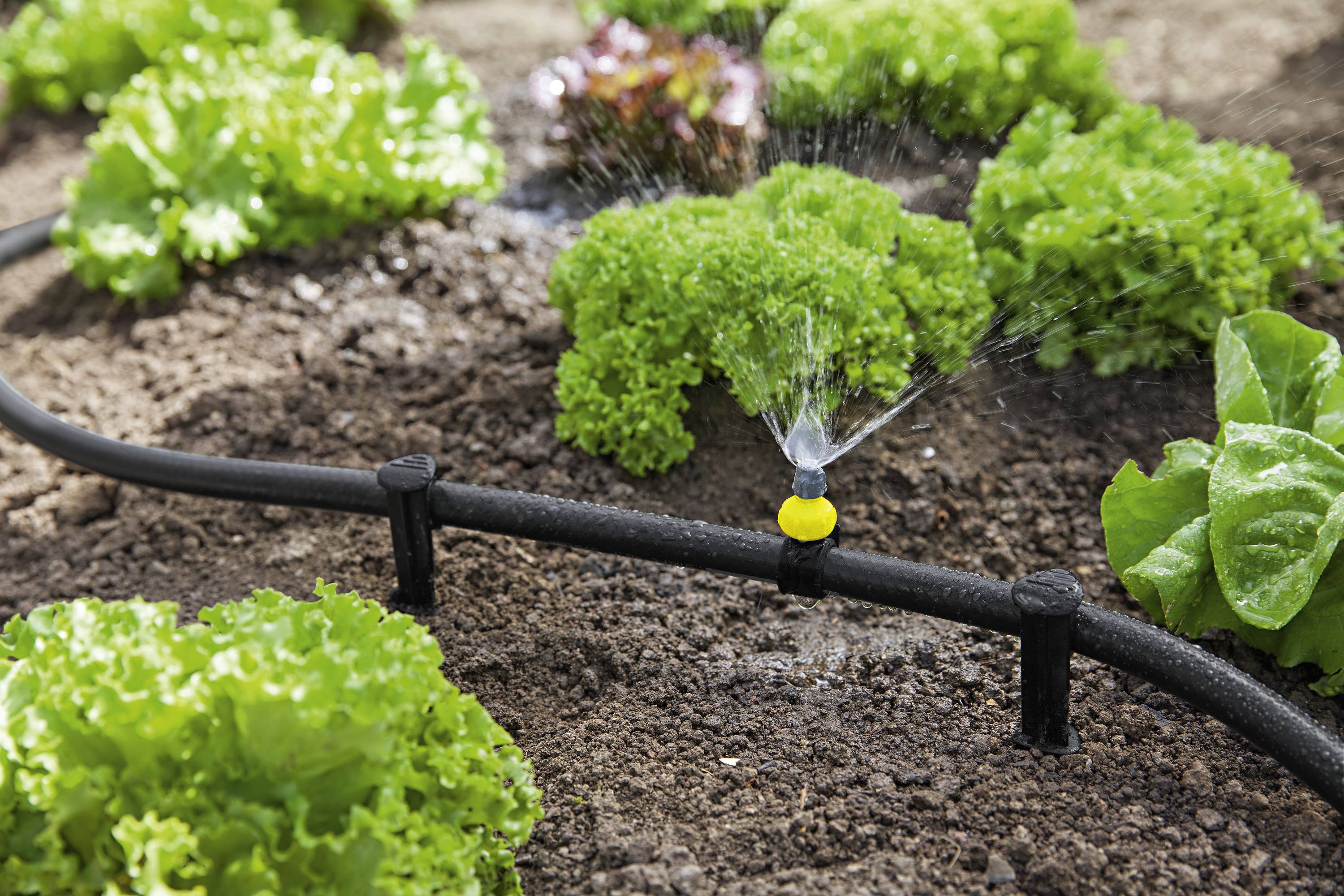 Kärcher Home & Garden Rain System® Düsenset 2.645-239.0