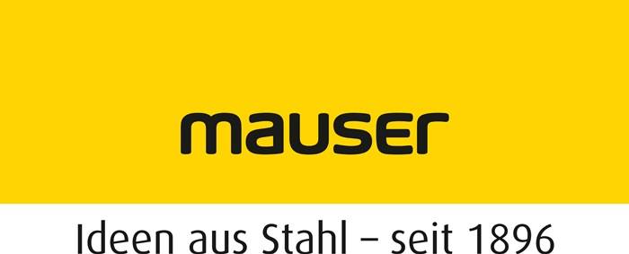 Wandschiene B620mm STA verz.o.Sichtlage / rkästen 3St./Btl. / NW-Nr. 9000449004