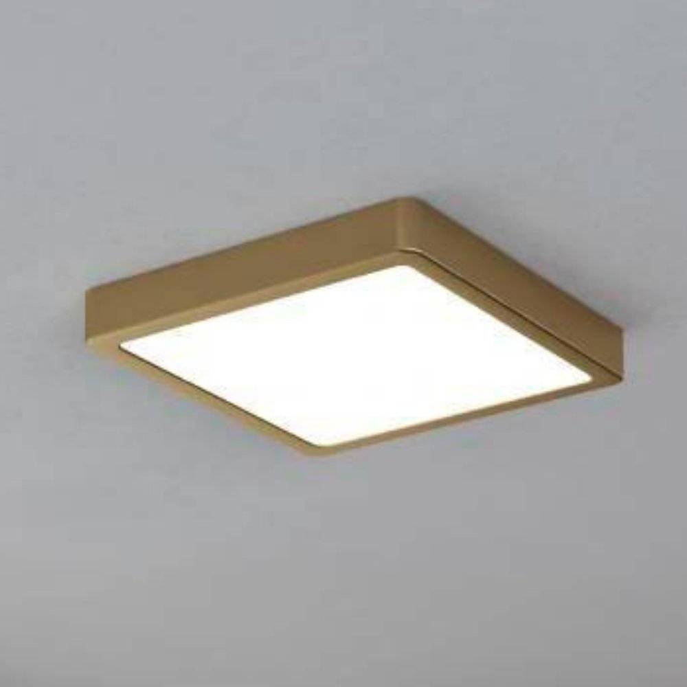 LED Deckenleuchte Fueva in Messing-gebürstet und Weiß 17W 2000lm 210mm