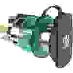 ProCar Power-Steckdose mit Spannhülse grün Belastbarkeit Strom max.=20A Passend für (Details) Zigarettenanzünderstecker