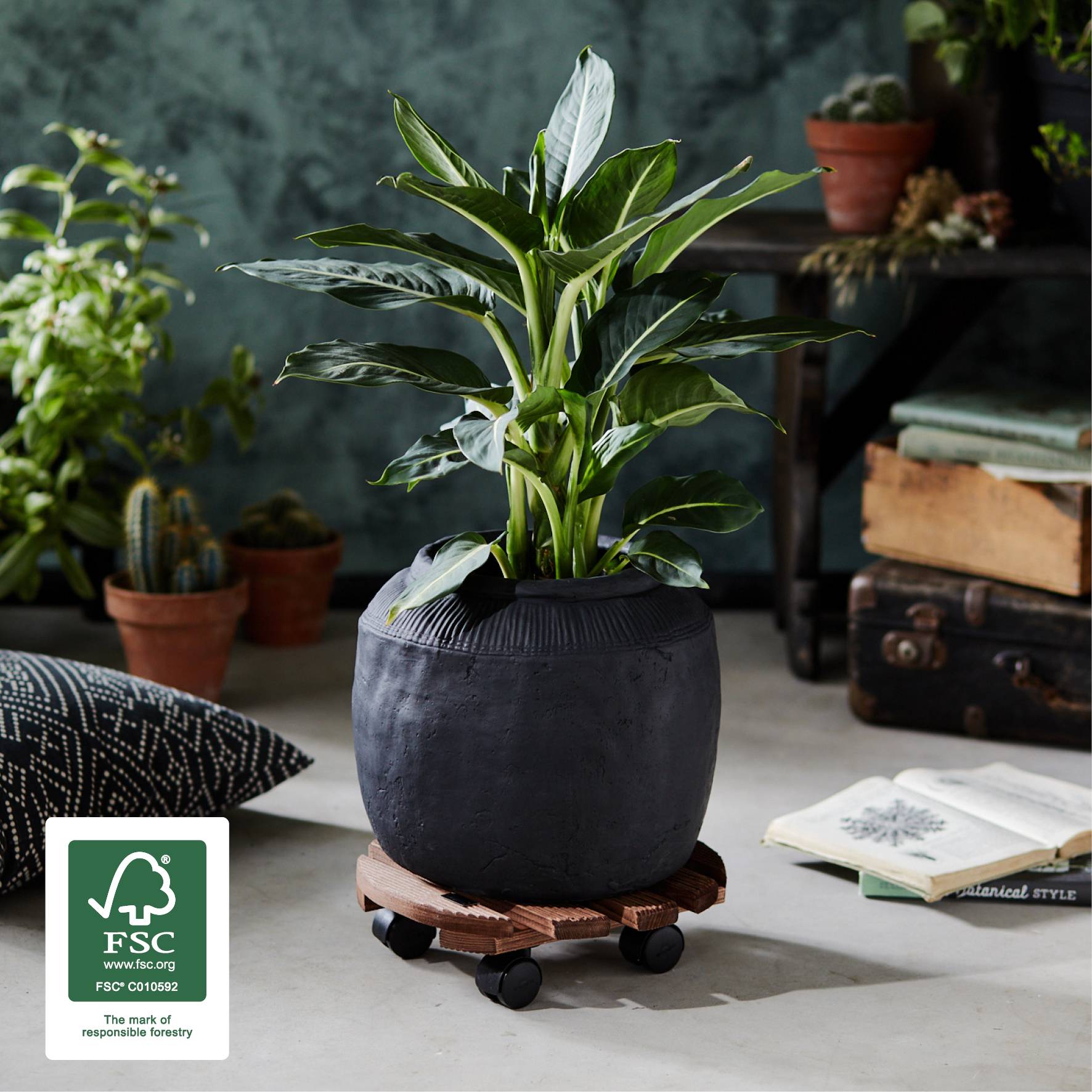 WAGNER Pflanzenroller COUNTRY Ø 30 x 8 cm, für innen, Holz geriffelt, palisander, Tragkraft 100 kg, EU Ware - 20018301