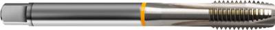 Gewindebohrer G1 / DIN 5156 / HSS-E / blank