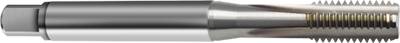 Gewindebohrer M8 / ISO2/6H / DIN 371 / HSS-E / blank