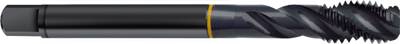 Gewindebohrer M12 x 1 / ISO2/6H / DIN 374 / HSS-E / dampfbehandelt