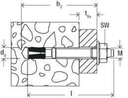 Fischer Deutschl. Nagelanker FNA II 6x30 M6/5 5 mm, 10 6 50 45 1,2 kN