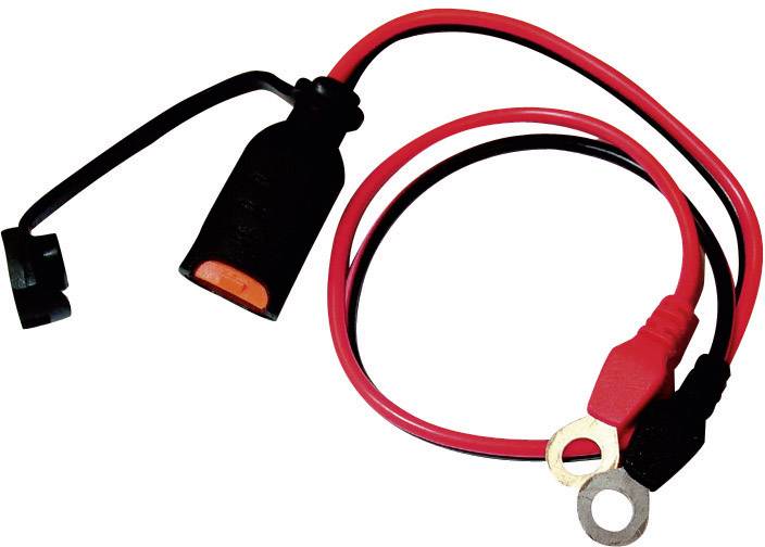 CTEK 56-260 Schnellkontakt Ringösen Ringkabelschuh M6 56260 | digitalo