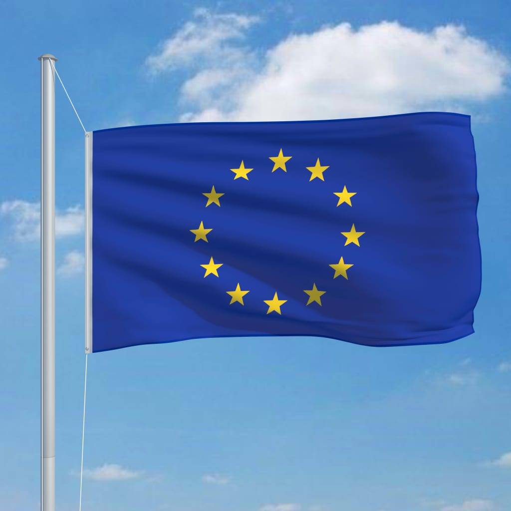 vidaXL Europaflagge 90 x 150 cm
