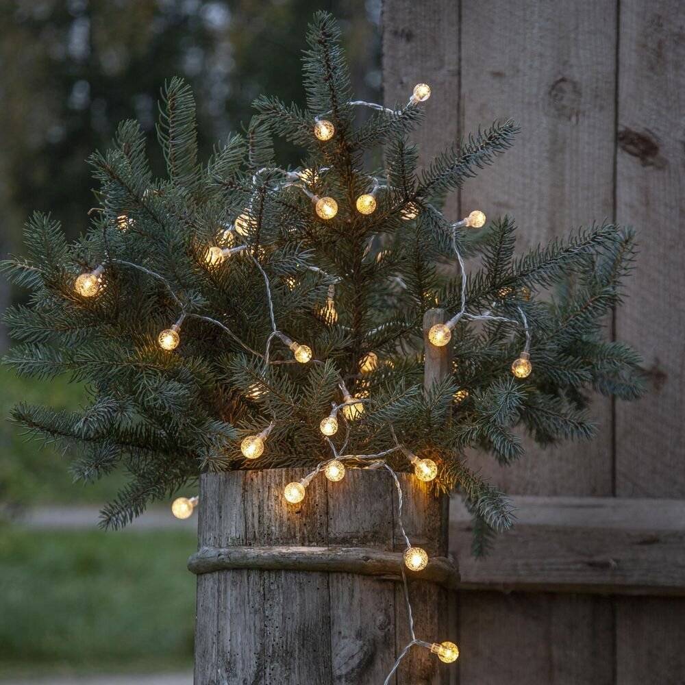 LED Partykette Berry in Transparent 50-flammig IP44