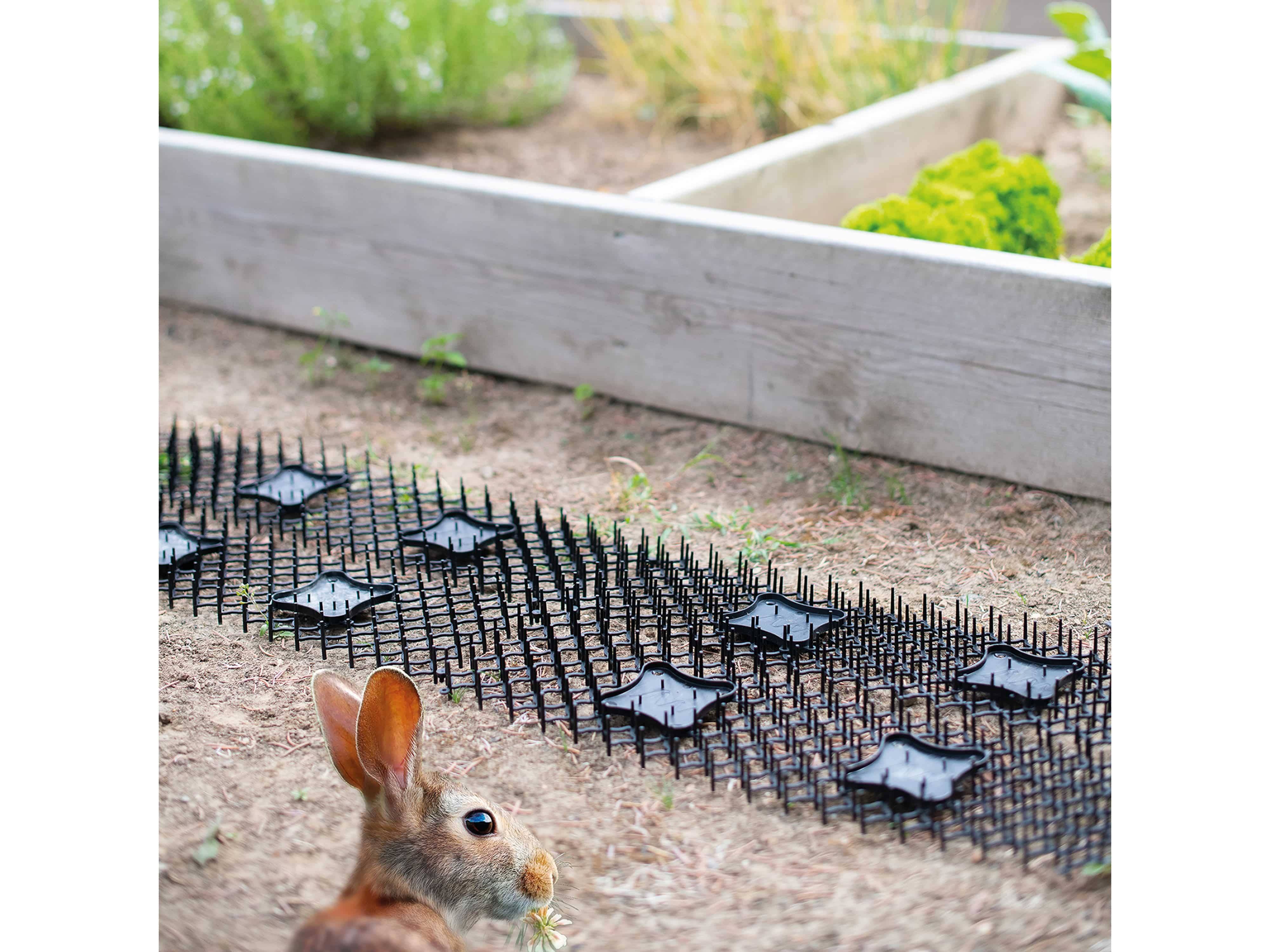 Verdufter-Barriere Tiervertreiber Funktionsart Abschreckung 6 St.