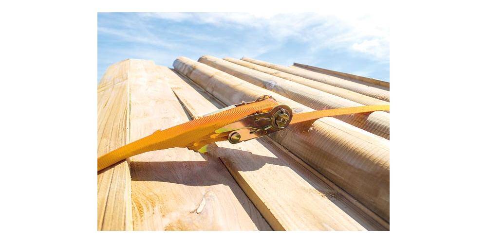 Spanngurt mit Ratsche, einteilig, für kleinere Lasten, max. 500 kg, Polyester, Orange, 3.6 m x 25 mm