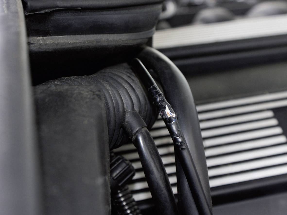 LAS 16265 Marder-Abwehrspray 300 ml