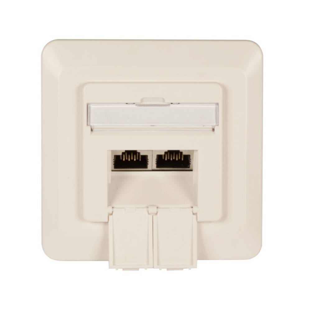 EFB Elektronik Netzwerkdose Unterputz Einsatz mit Zentralplatte CAT 6a 2 Port Reinweiß (RAL 9010)