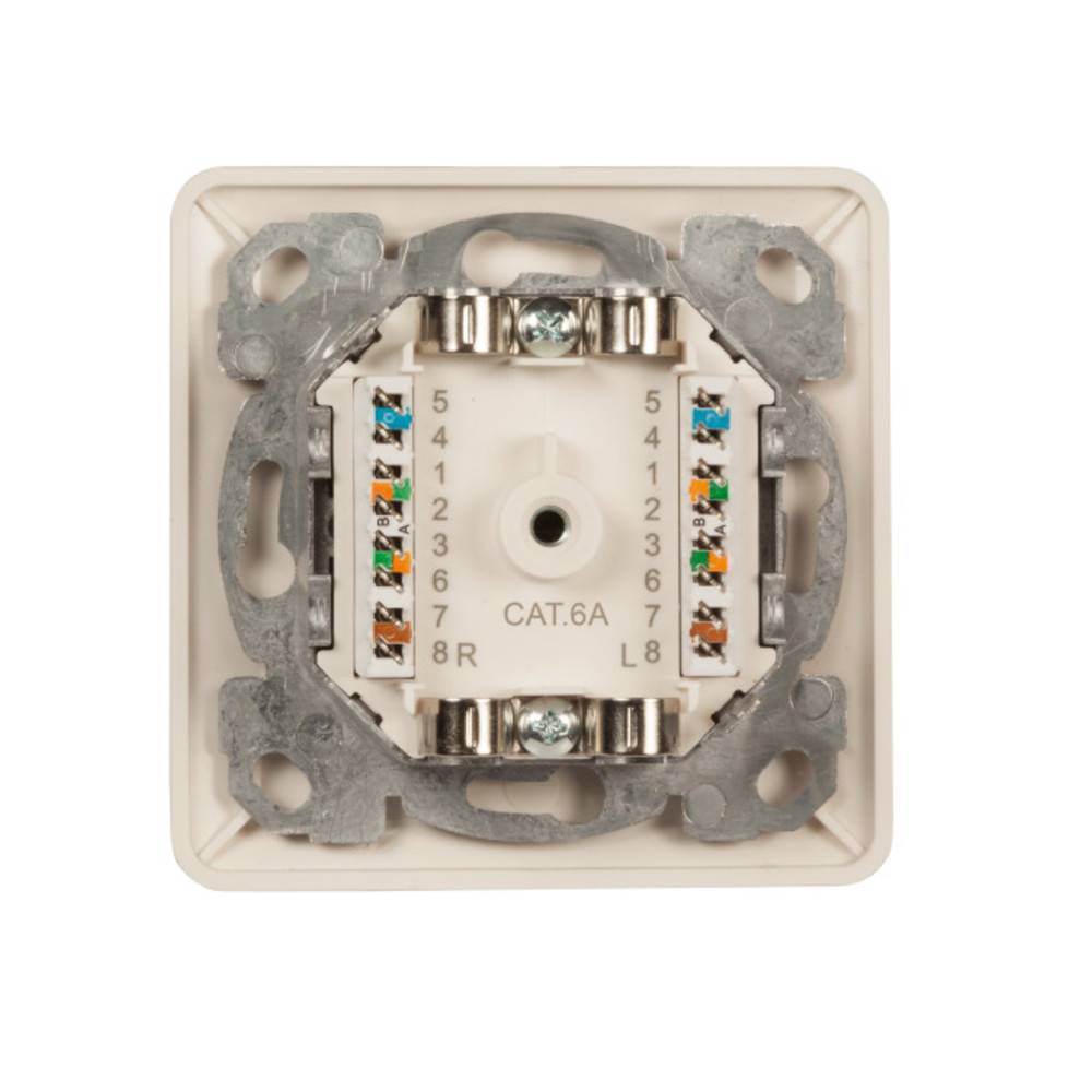 EFB Elektronik Netzwerkdose Unterputz Einsatz mit Zentralplatte CAT 6a 2 Port Reinweiß (RAL 9010)