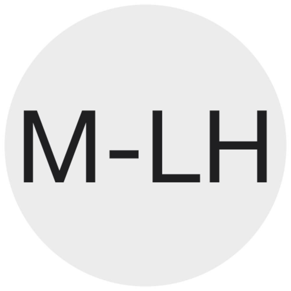 Forum Schneideisen EN22568 HSS M20 links