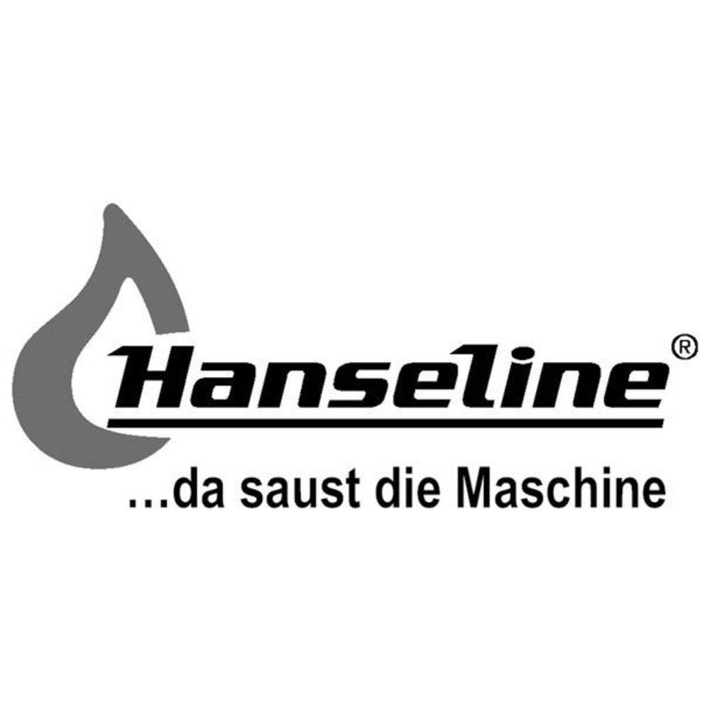 Graphit-Zerstäuber 100ml HANSELINE