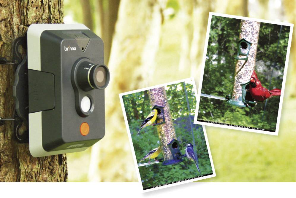 Brinno Vogelbeobachtungs-Kamera BWCMAC130A BirdWatchCam
