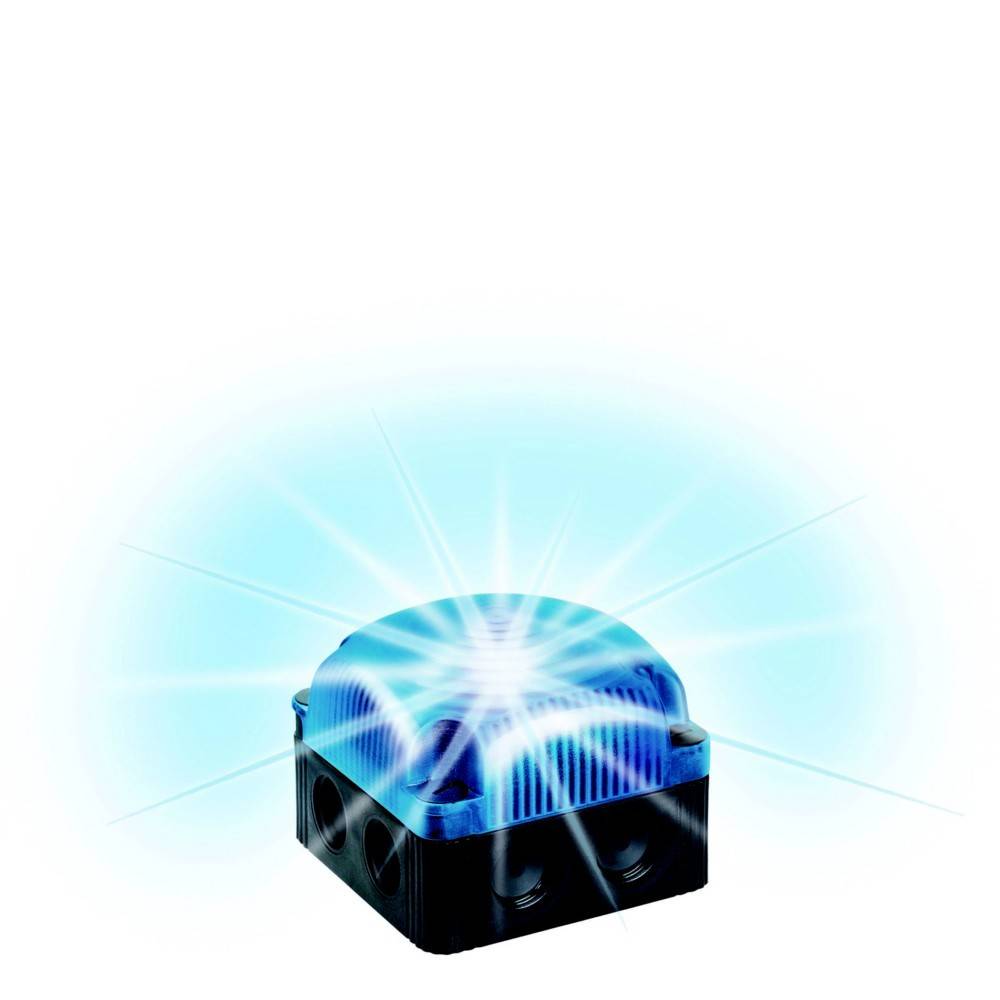 Werma Signaltechnik Signalleuchte LED 853.510.60 853.510.60 Blau Blitzlicht 230 V/AC