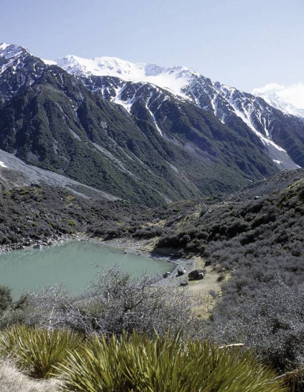 Eschenbach Fernglas Arena D+ 8x42 B 8 x 42mm Dachkant Schwarz (gummiert) 4254842