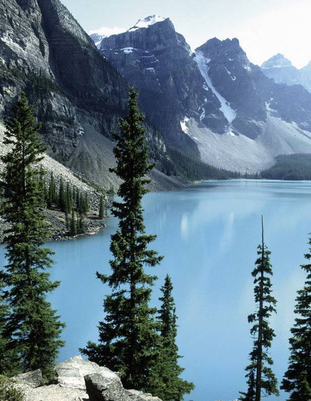 Eschenbach Fernglas Arena F + 8x25 B 8 x 25mm Dachkant Schwarz (gummiert) 4256825