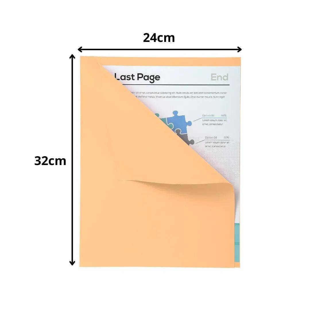 Exacompta 5x 100er Packung FOREVER 170 mit rotem Rand - Sand - 421002E