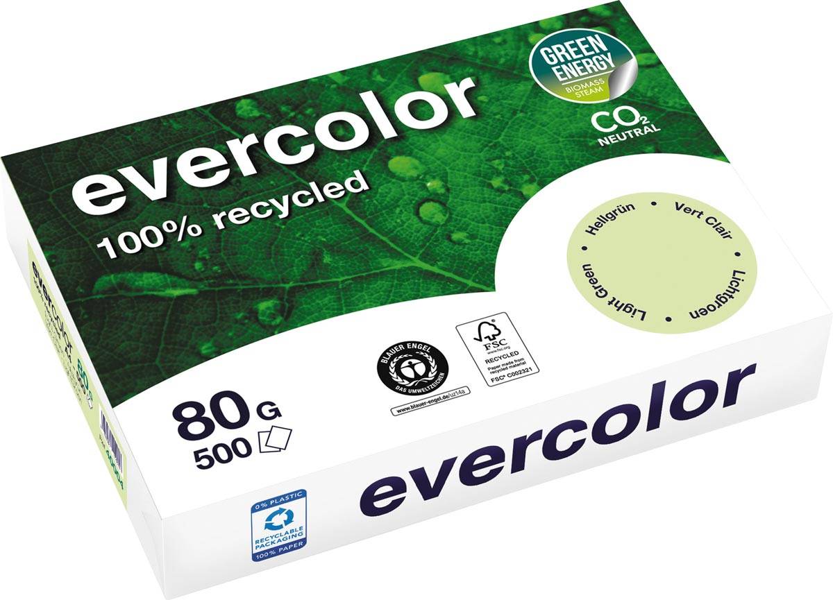 Clairefontaine Evercolor - Recyceltes getöntes Papier - Hellgrün