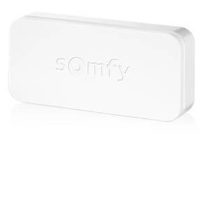 SOMFY Magnetkontakt Aufb Funk ws, 1