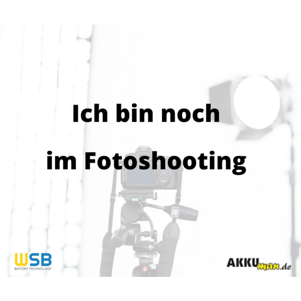 SSB Blei Akku SBLFT 90-12i AGM Batterie M8 Schraubanschluss - 12V 90Ah SSB Blei Akku SBLFT 90-12i AGM Batterie M8 Schraubanschluss - 12V 90Ah